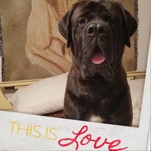 Meet your Posher, Missy